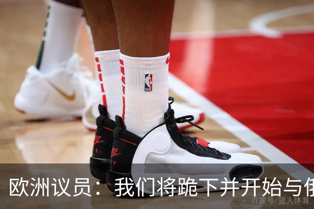 欧洲议员：我们将跪下并开始与俄谈判，这是我们自身愚蠢的结果